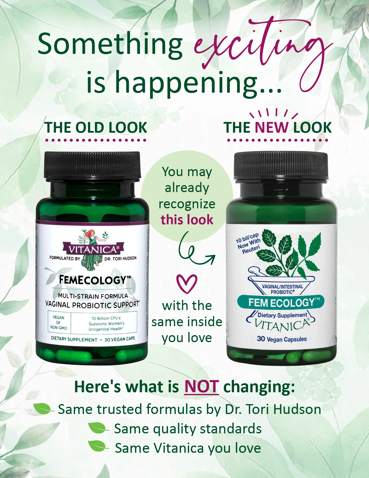 FemEcology™ - 30 capsules - Image 2