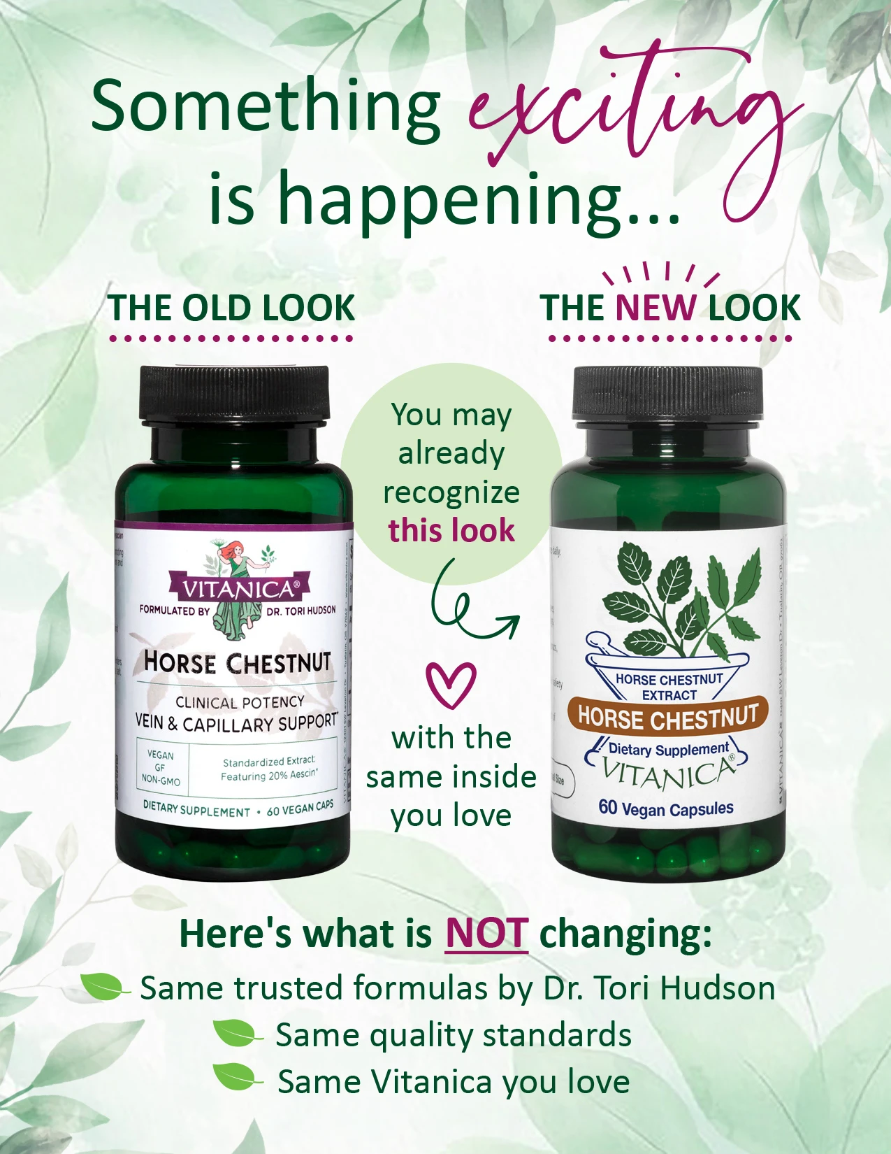 Horse Chestnut - 60 capsules - Image 2