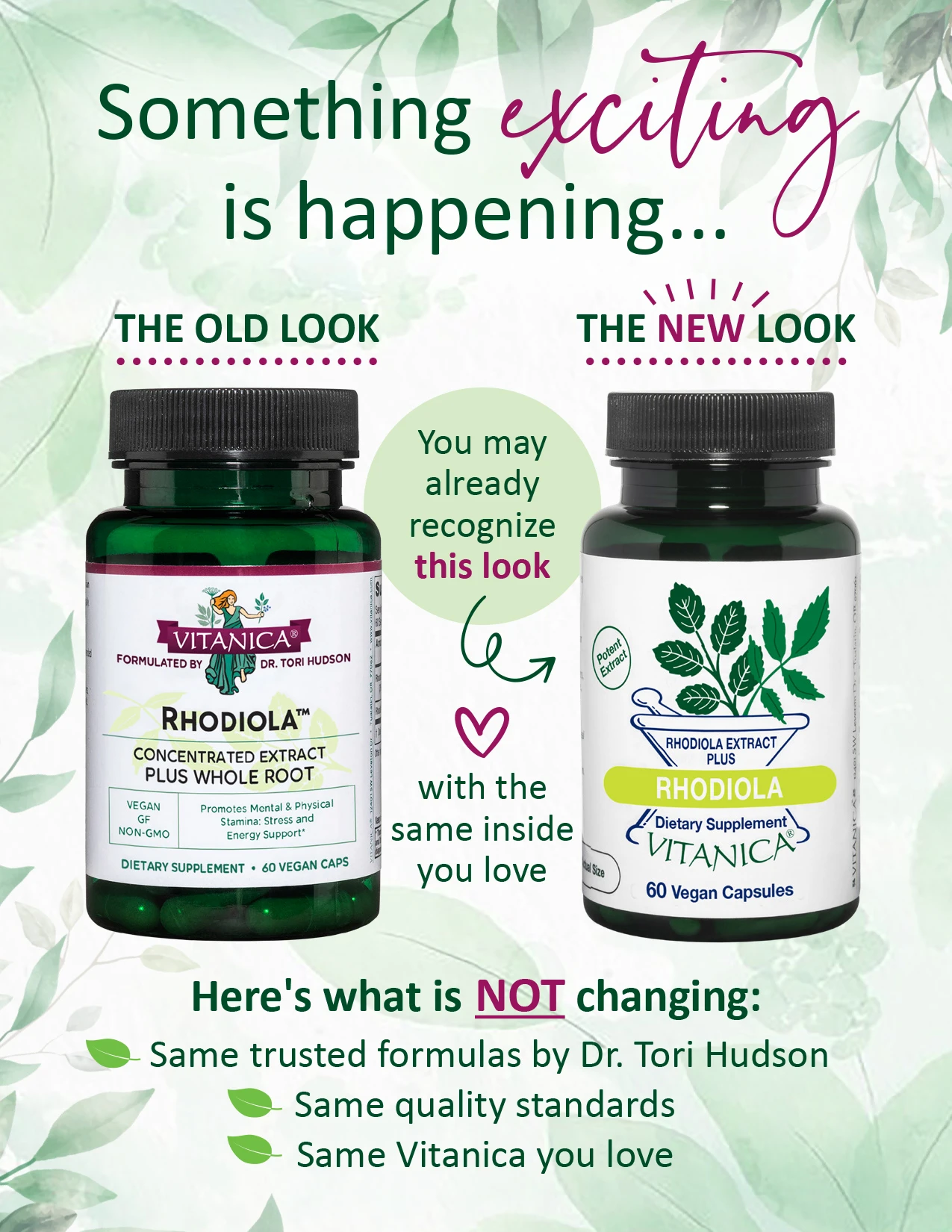 Rhodiola – 60 capsules - thumbnail 2