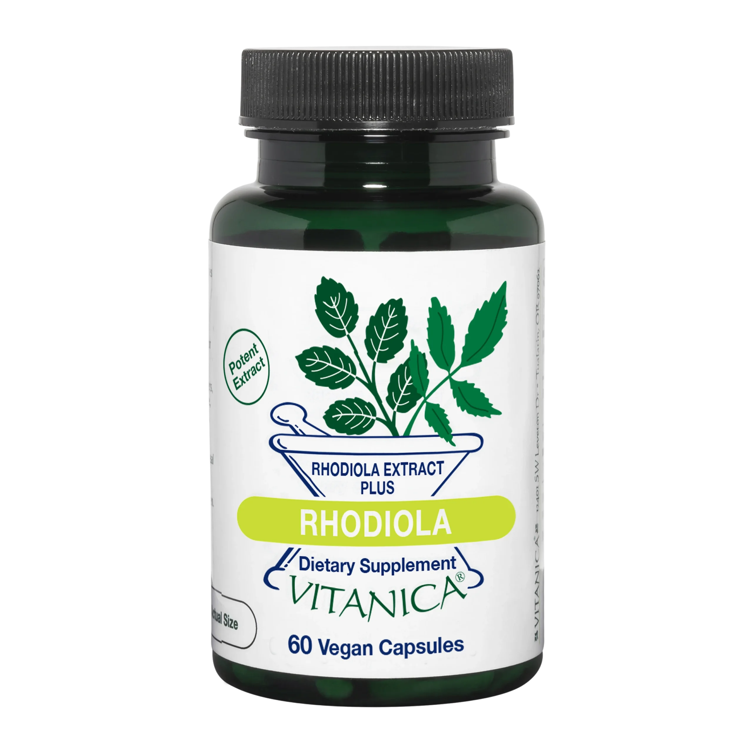 Rhodiola – 60 capsules