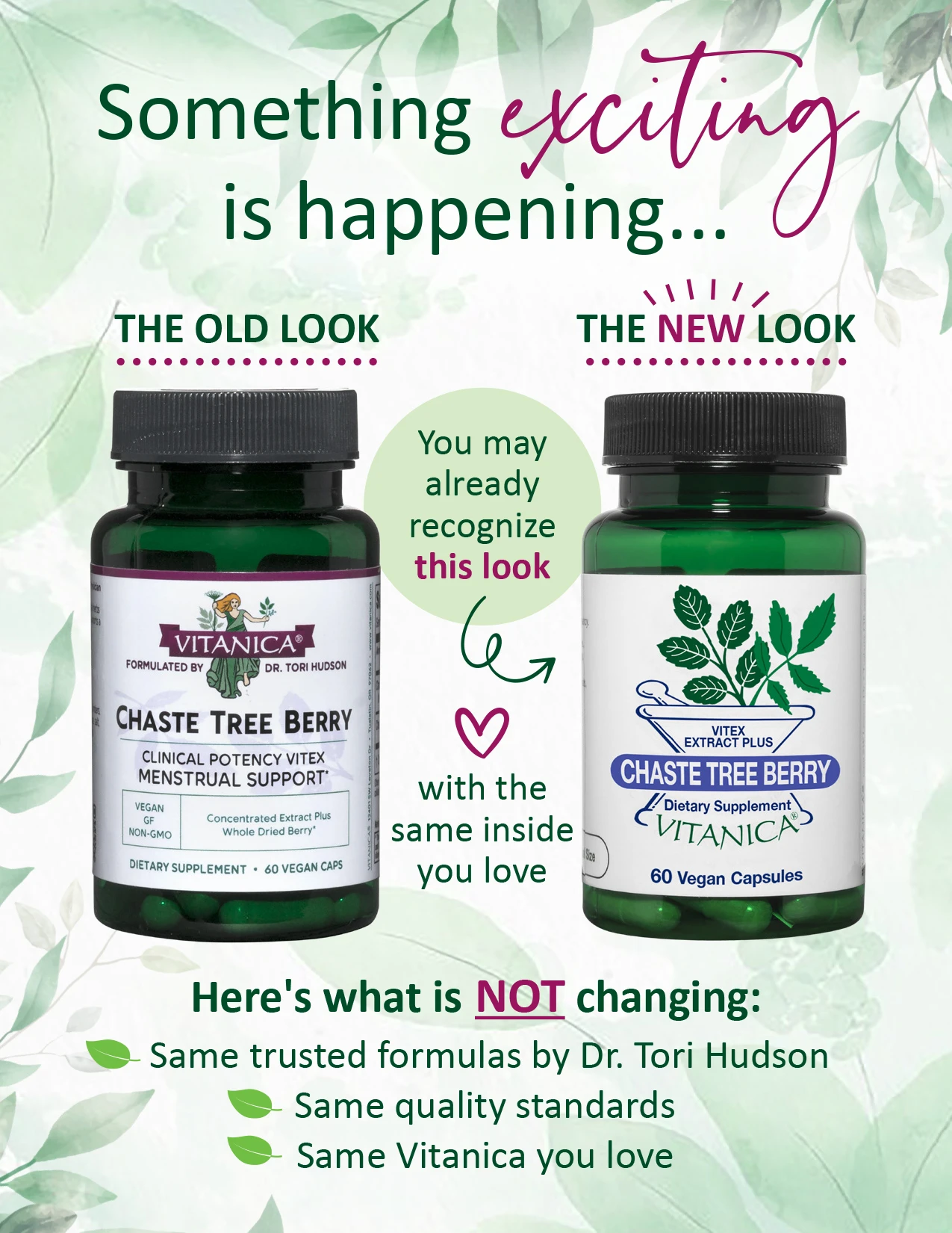 Chaste Tree Berry - 60 capsules - Image 2